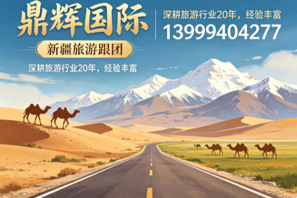 鼎辉国际可克达拉线上分站